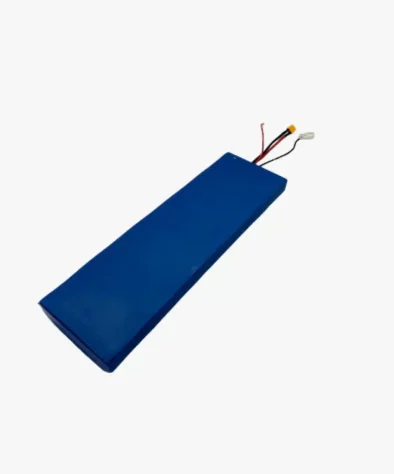 DUALTRON-TOGO-PLUS-_-BATTERIE-48V15AH